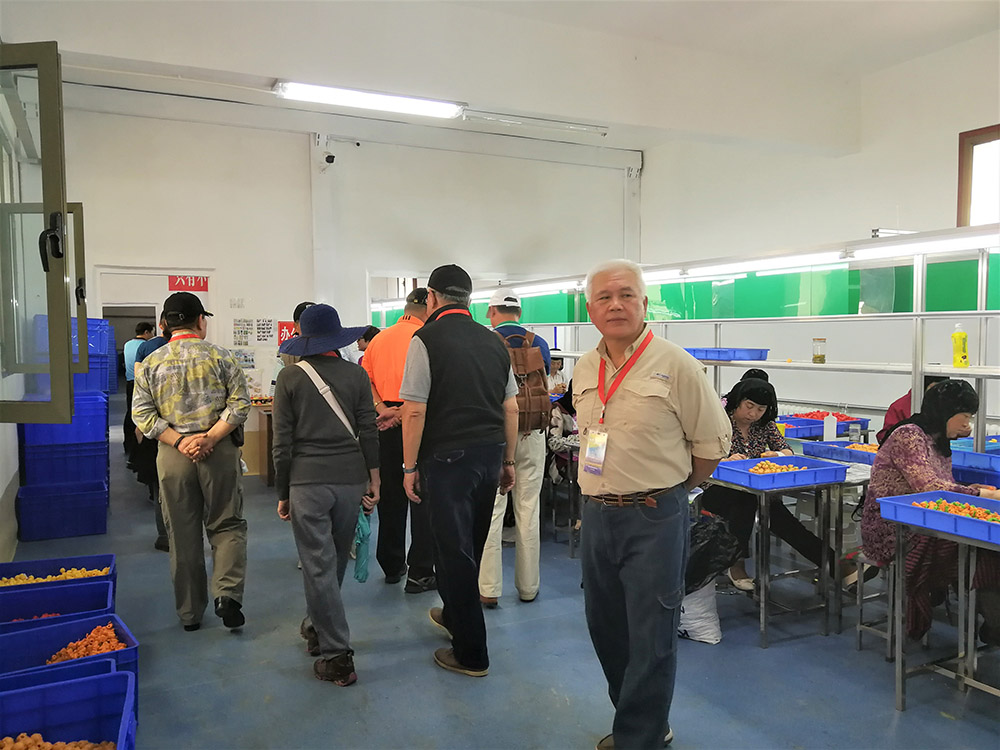 元?jiǎng)P冬蟲夏草