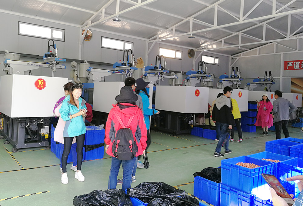 元?jiǎng)P冬蟲(chóng)夏草