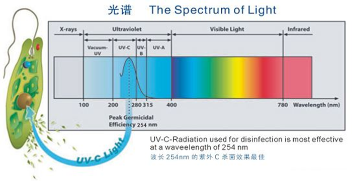 科普！紫外線殺菌燈對(duì)人體影響及正確使用方法
